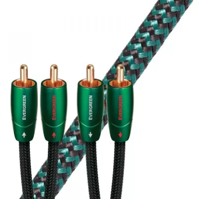 EVERGREEN ANALOG  Audioquest Digistore
