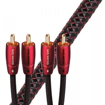 GOLDEN GATE ANALOG  Audioquest Digistore
