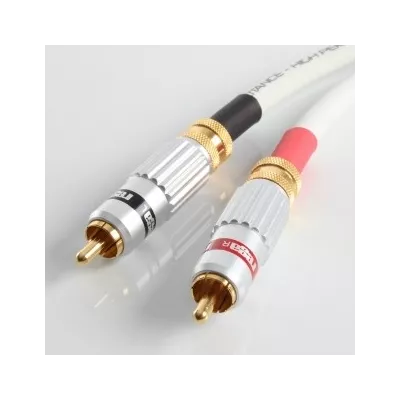 Couple2 interconnect  Rega Digistore