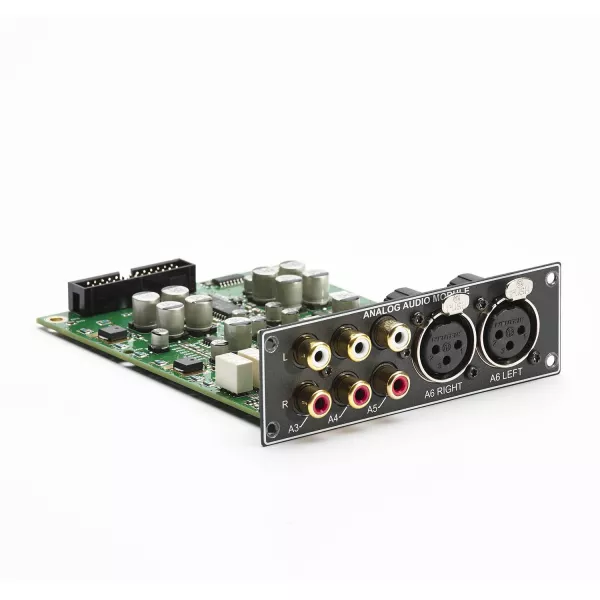 Lyngdorf TDAI High End Analog input