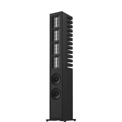 Piega Coax Master Line Source 3 à Genève | Digistore.ch