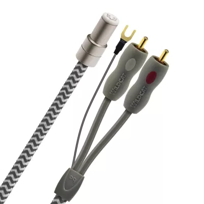 Audioquest Wildcat à Genève | Digistore.ch Audioquest Wildcat à Genève | Digistore.ch