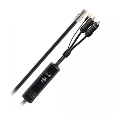 Audioquest Cougar à Genève | Digistore.ch