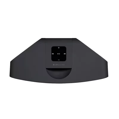 BlueSound Pulse Mini 2i à Genève | Digistore.ch