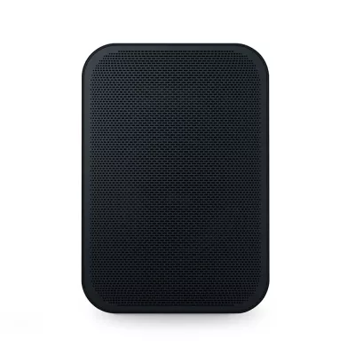BlueSound Pulse Flex 2i à Genève | Digistore.ch