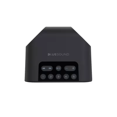 BlueSound Pulse Flex 2i à Genève | Digistore.ch