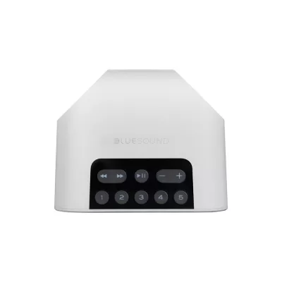 BlueSound Pulse Flex 2i à Genève | Digistore.ch