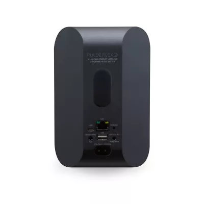 BlueSound Pulse Flex 2i à Genève | Digistore.ch