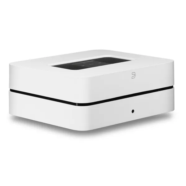 BlueSound Vault 2i