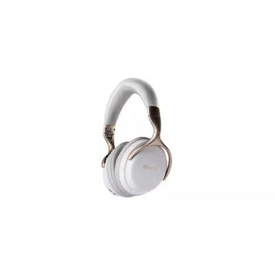Denon AH-GC30 à Genève | Digistore.ch