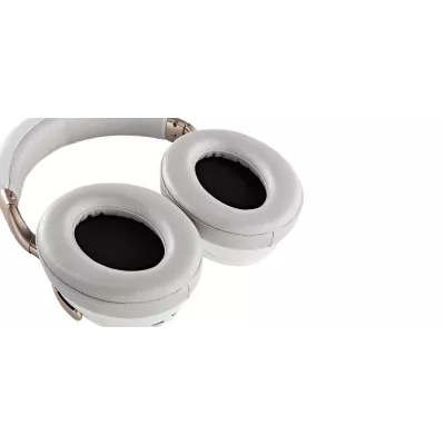 Denon AH-GC30 à Genève | Digistore.ch