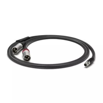 Astell&Kern Câble 1x 5-Pin-Mini-XLR vers 2x 3-Pin-XLR PEE41 à Genève | Digistore.ch