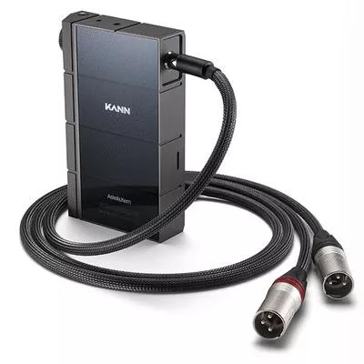 Astell&Kern Câble 1x 5-Pin-Mini-XLR vers 2x 3-Pin-XLR PEE41 à Genève | Digistore.ch
