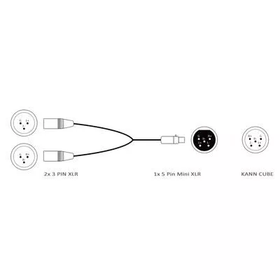 Astell&Kern Câble 1x 5-Pin-Mini-XLR vers 2x 3-Pin-XLR PEE41 à Genève | Digistore.ch