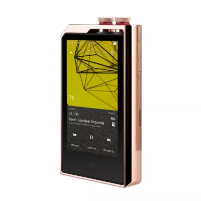 Plenue L 256 Go cuivre à Genève | Digistore.ch