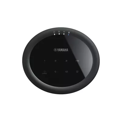 Yamaha MusicCast 20 (WX-021) à Genève | Digistore.ch