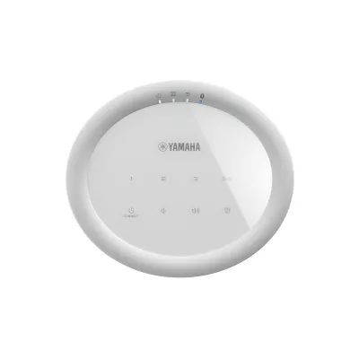 Yamaha MusicCast 20 (WX-021) à Genève | Digistore.ch