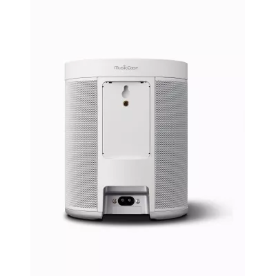 Yamaha MusicCast 20 (WX-021) à Genève | Digistore.ch