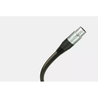 T+A Audio Duo à Genève | Digistore.ch
