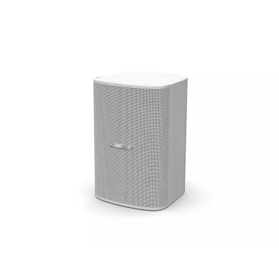 Bose Pro DM5SE (paire) à Genève | Digistore.ch