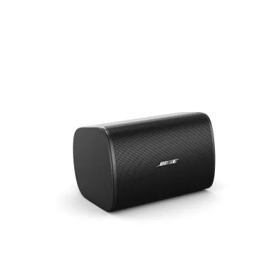 Bose Pro DM5SE (paire) à Genève | Digistore.ch
