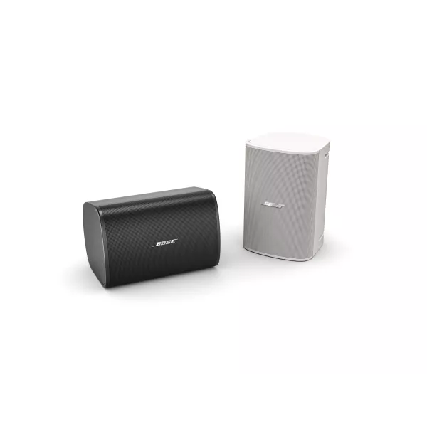 Bose Pro DM5SE