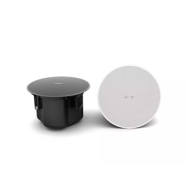 Bose Pro DM5C