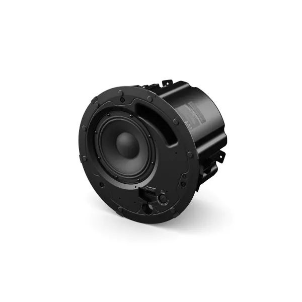 Bose Pro DM8C-Sub