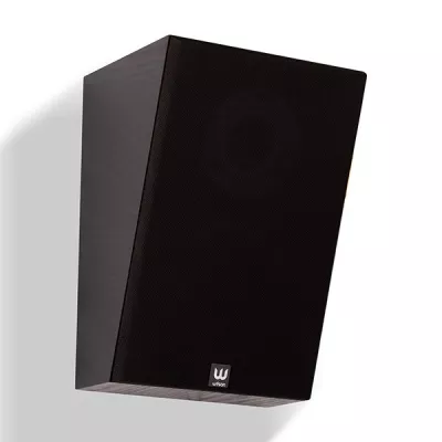 Wilson Raptor X (paire) à Genève | Digistore.ch