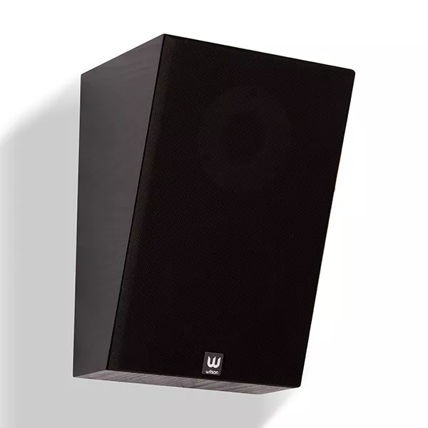 Wilson Raptor X (paire)