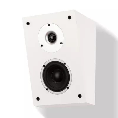 Wilson Raptor X (paire) à Genève | Digistore.ch