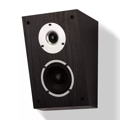 Wilson Raptor X (paire) à Genève | Digistore.ch