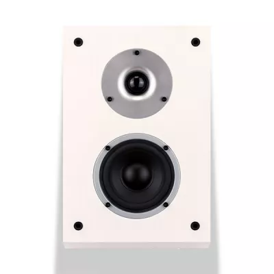 Wilson Raptor X (paire) à Genève | Digistore.ch