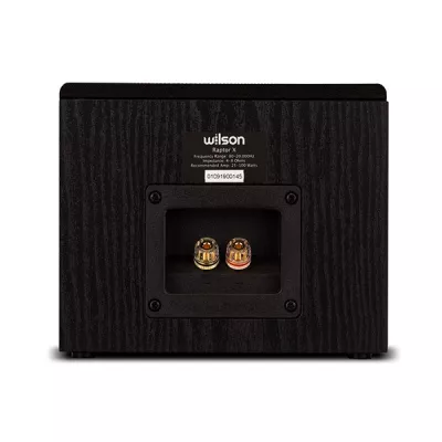 Wilson Raptor X (paire) à Genève | Digistore.ch