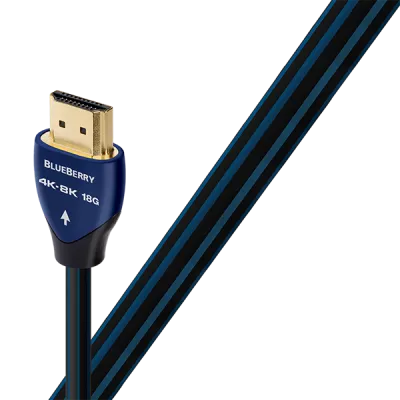 Audioquest BlueBerry 18 à Genève | Digistore.ch