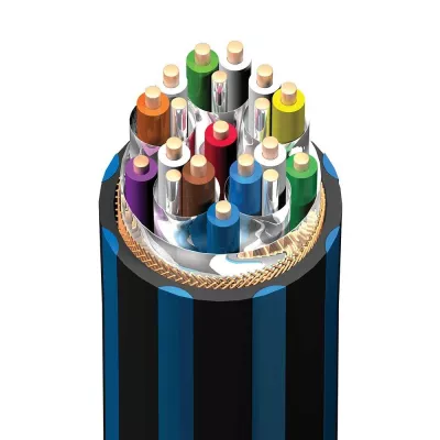 Audioquest BlueBerry 18 à Genève | Digistore.ch