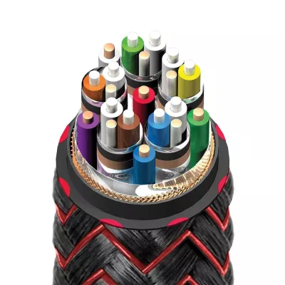 Audioquest FireBird 48 à Genève | Digistore.ch
