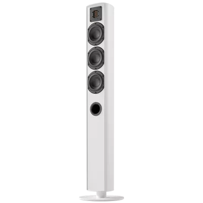 Piega Ace 50 (paire) à Genève | Digistore.ch