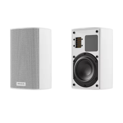 Piega Set ACE 30 Wireless TX + RX (paire) à Genève | Digistore.ch