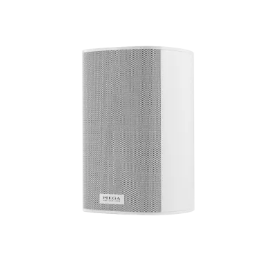 Piega Set ACE 30 Wireless TX + RX (paire) à Genève | Digistore.ch