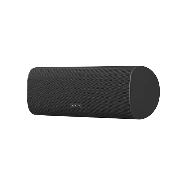 Piega ACE Center Wireless