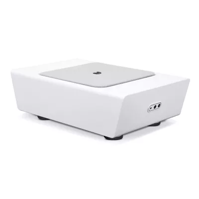 BlueSound Pulse Sub+ à Genève | Digistore.ch