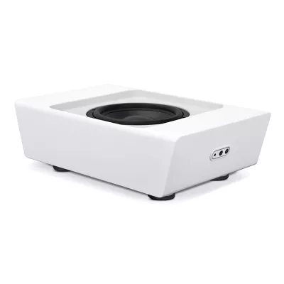 BlueSound Pulse Sub+ à Genève | Digistore.ch