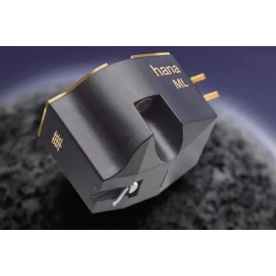 Hana ML à Genève | Digistore.ch