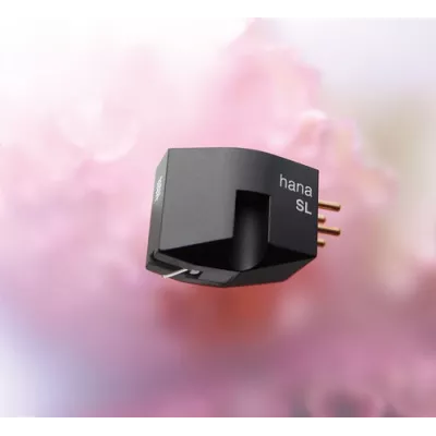 Hana SL à Genève | Digistore.ch