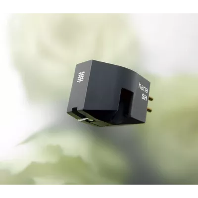 Hana SH à Genève | Digistore.ch