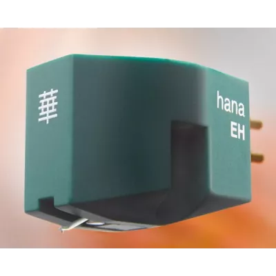 Hana EH à Genève | Digistore.ch