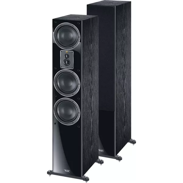 Magnat Signature 507 (pièce)