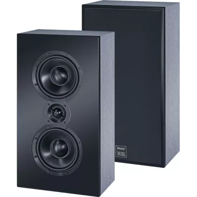 Magnat Cinema Ultra LCR 100-THX (piece) à Genève | Digistore.ch