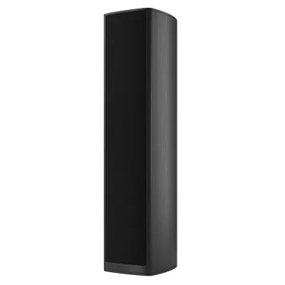 Piega Coax Coax 811 (paire) à Genève | Digistore.ch
